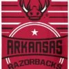 WinCraft Arkansas Razorback Beach Towel 30" X 60" -Golfcore Store 71VdAnpOxOL. AC SL1500
