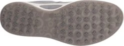 ECCO Ladies Golf Biom Hybrid Golf Shoes -Golfcore Store EccoLadiesHydromax SilverMetallic3