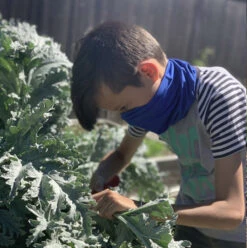 Sunday Afternoons Kids UVShield Cool Gaiter SPF 50+ 11 Sunday Afternoons Kids UVShield Cool Gaiter SPF 50+ -Golfcore Store Gaiter Kids2