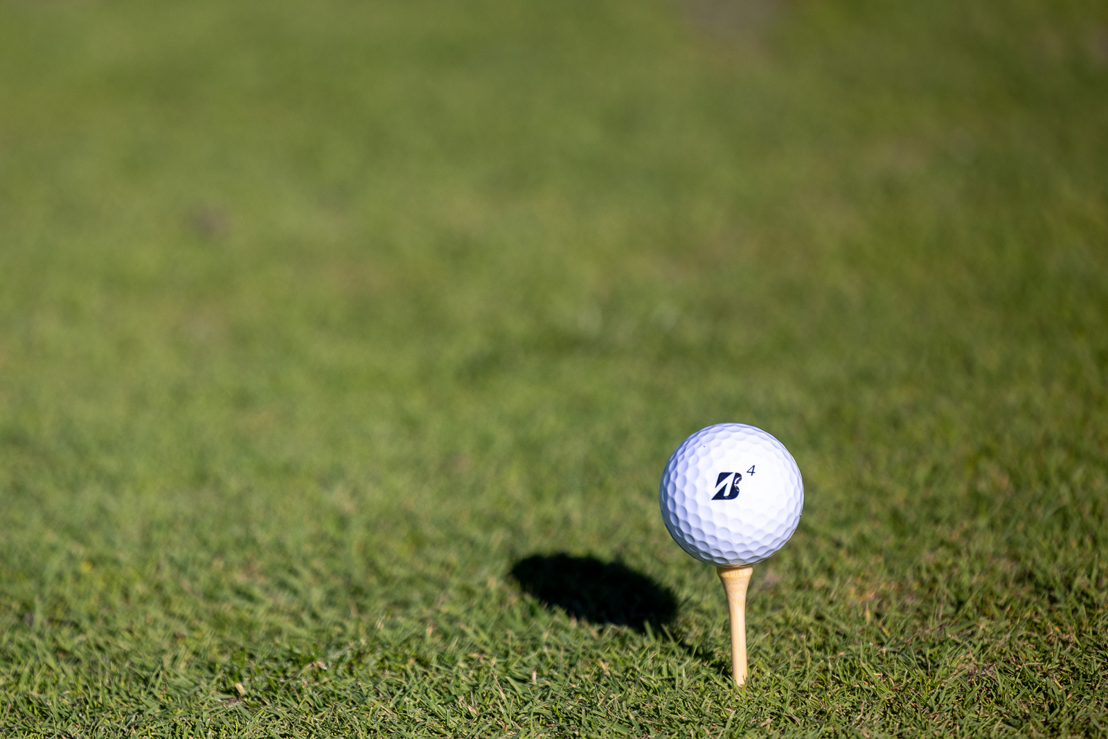 Golfcore Store -Golfcore Store bridgestone e6 1